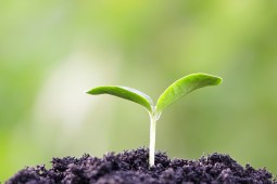 © Fotolia_91057241_paladin1212